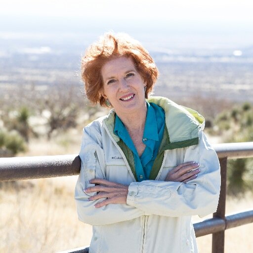 #progressive #Democrat running for Congress in #NM2