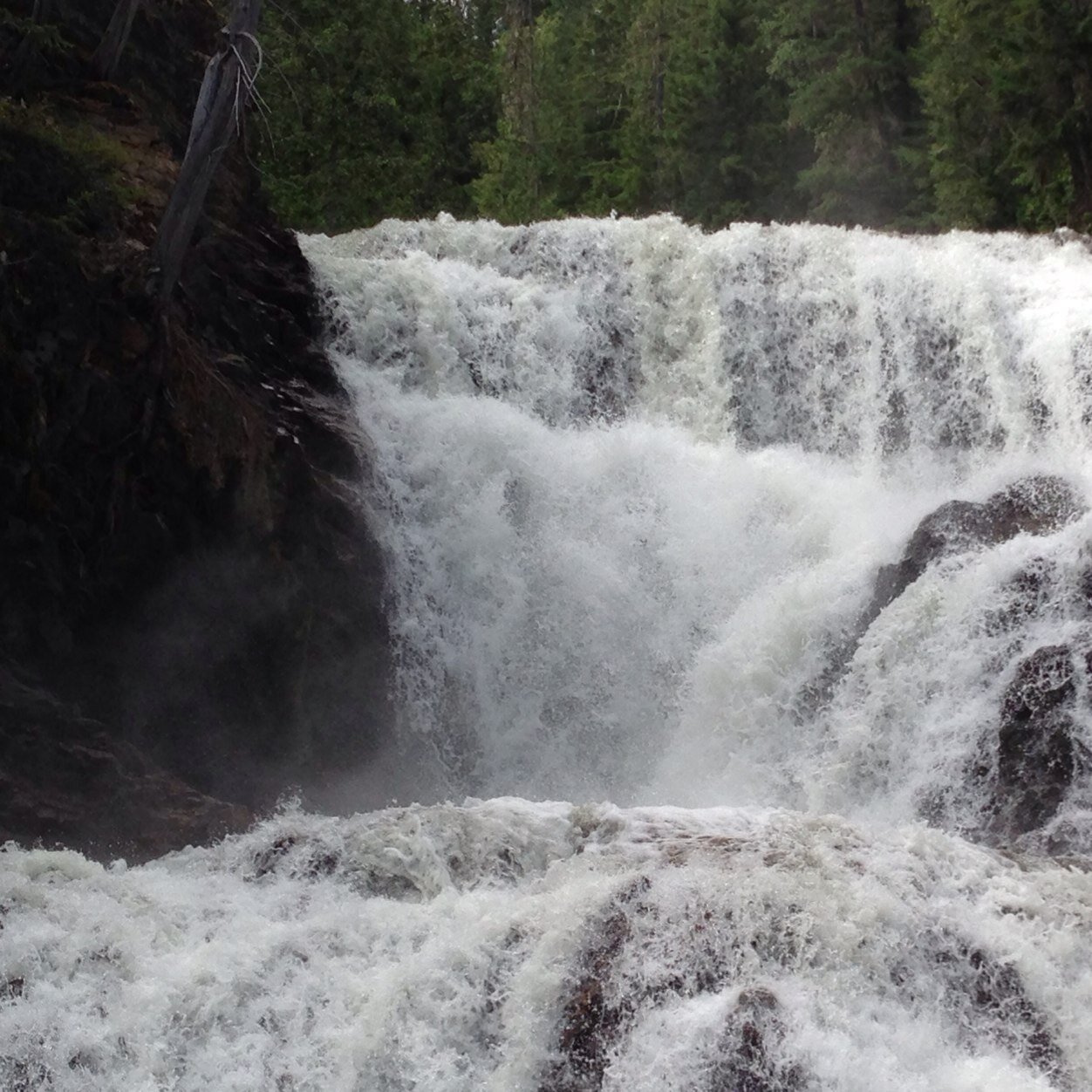 T_LEV2's profile picture. 