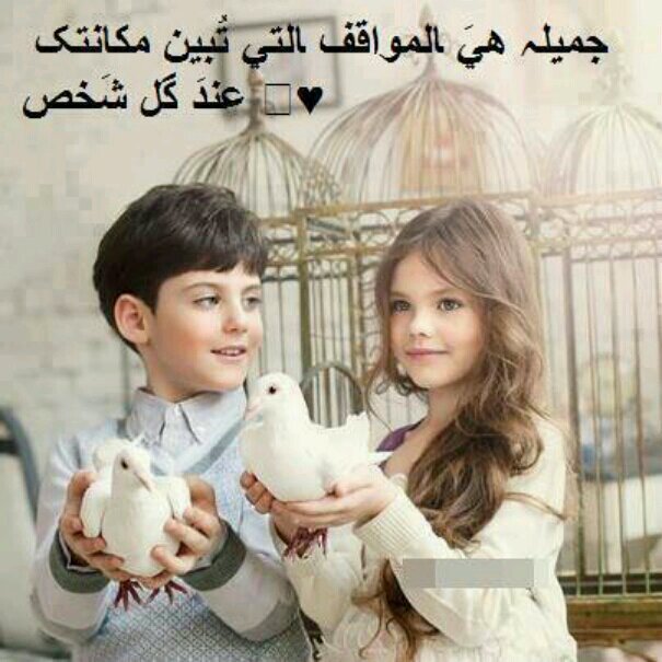 الرياض
