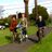 kathyfrancis56's profile image