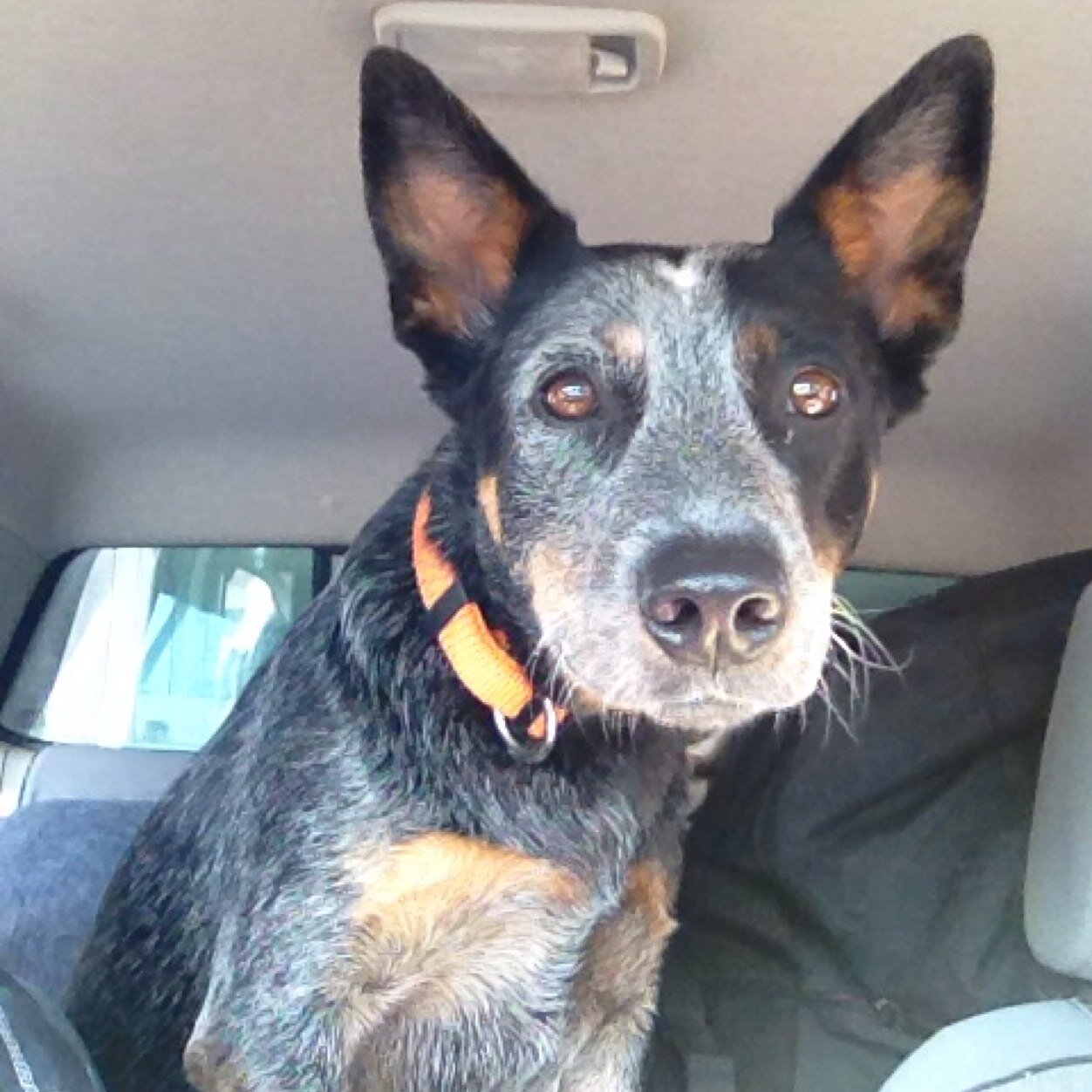 Mandy34974146's profile picture. 