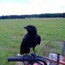 johnathan scott - @johnathan2198 - Twitter