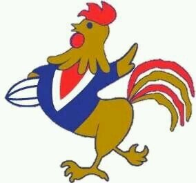 Te Atatu Roosters Rugby League