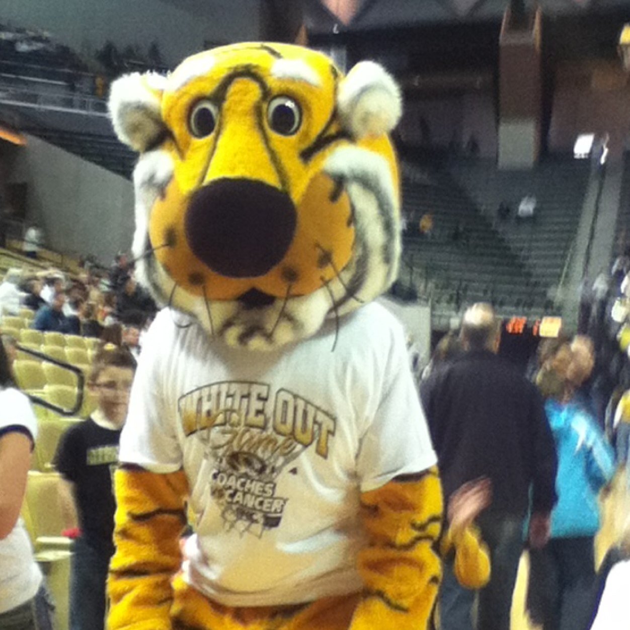 nick_puccio's profile picture. Italins are beast!!