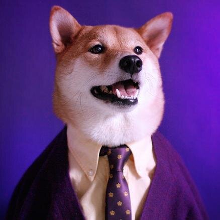 the doge of wow street