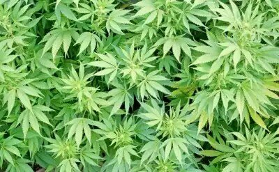 NKR_1977's profile picture. Live Your Best Live