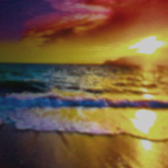 ariana__loves's profile picture. instagram @arianakanp