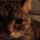 Karla Townsend - @karla_townsend - Twitter