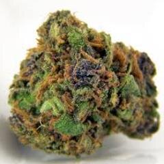 I'm just a nug of dank | It's 4:20 somewhere #JustBlaze #StayHigh