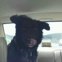 Heather LaRue - @LaRueHeather - Twitter