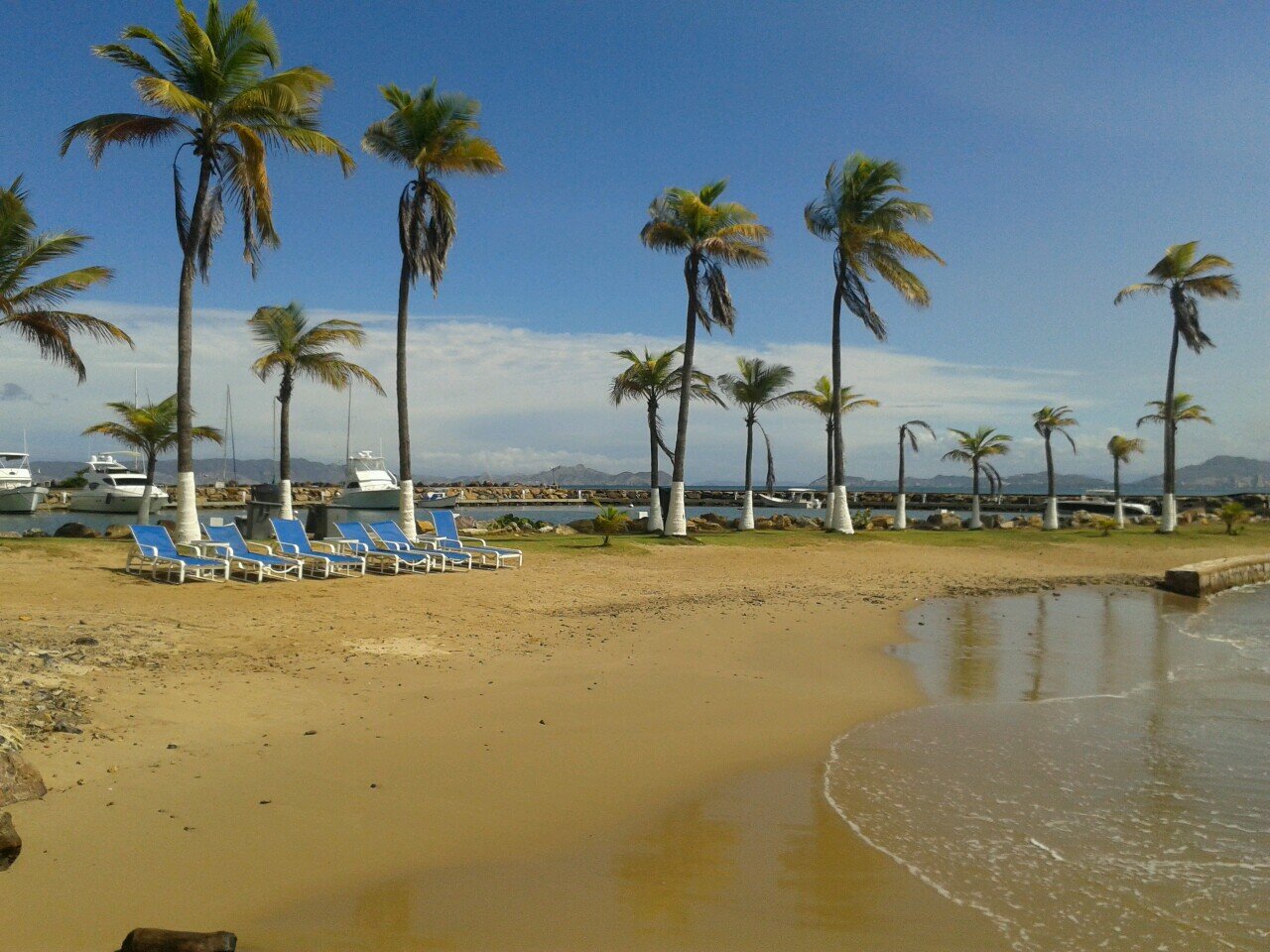 KARYNA_D's profile picture. 