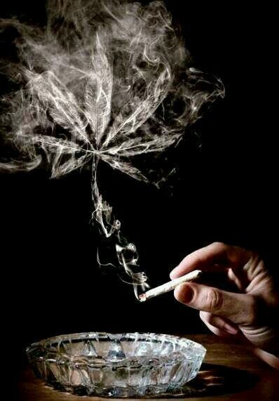 stoner page