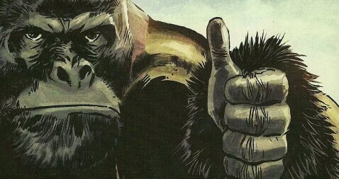 GorillaTickets's profile picture. Online Ticketing, domestic or international tickets available ✈ book your tickets with us