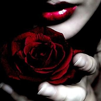 Mercexxy's profile picture. 