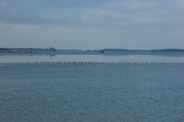 PerfectBayCo's profile picture. 