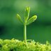 Агропортал (@agroprim_com) Twitter profile photo Агропортал (@agroprim_com) Twitter profile photo