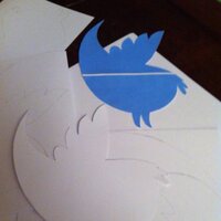 scuola primaria Elba (@cipelba) 's Twitter Profile