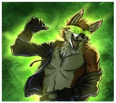 foxsox322's profile picture. fox=sox32  =  i   king   joke   fox   belives!