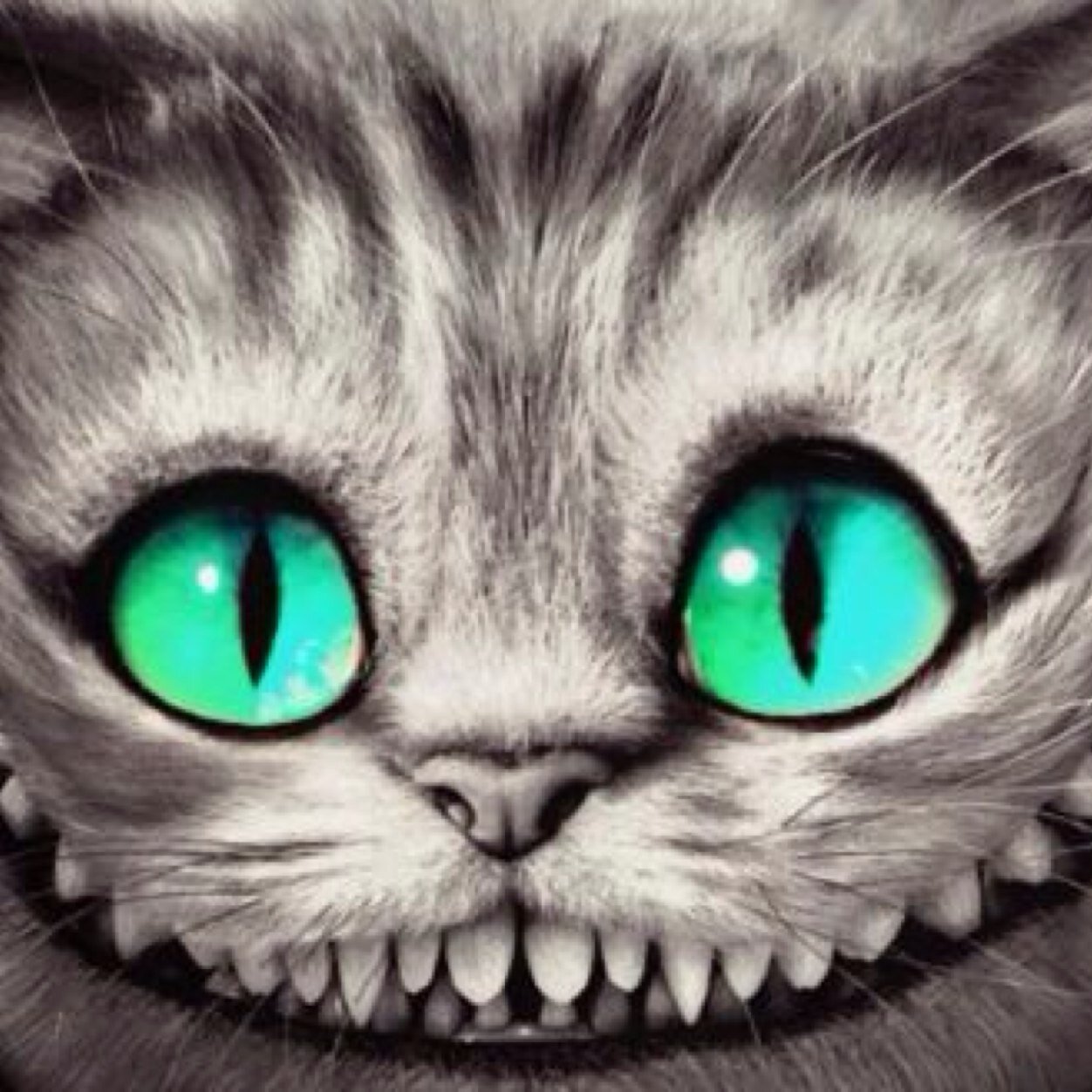 ☽ The cat is back! Guiding you with inspirational #quotes #wisdom through your personal Wonderland. Keep smiling & find your way were we are all mad my dear ! ☾