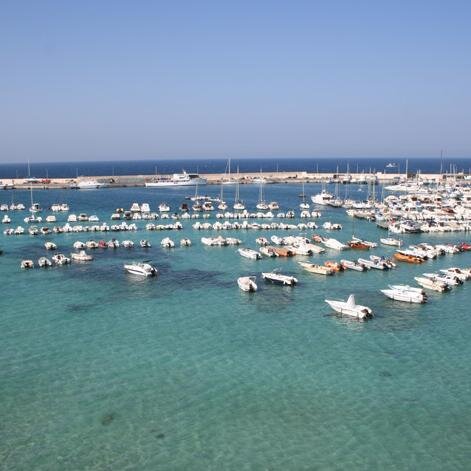 wr_terry's profile picture. 