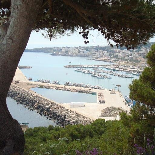 AmyChristinaWri's profile picture. 