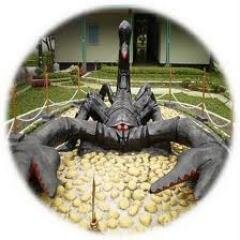 KalaHitam_UGM's profile picture. 