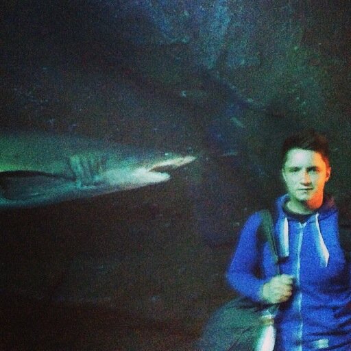 dmccluskey95's profile picture. Economics Graduate, Loughborough Uni Student, #MUFC