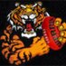 Torquay FC (@torquaytigers) Twitter profile photo Torquay FC (@torquaytigers) Twitter profile photo