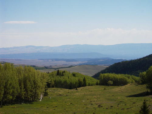 juju6966's profile picture. 