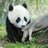 Leon_Leonidi's profile image