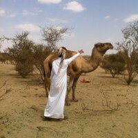علي الاكلبي (@aassf01) 's Twitter Profile