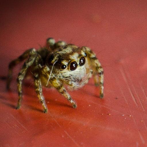 MyburghCraig's profile picture. Instrumentation Technician, Gadget Guy, Techno Nerd, Computer Junkie, Car Enthusiast, Hobby Photographer, Coffee Lover, and Liker of all things nice. ;)