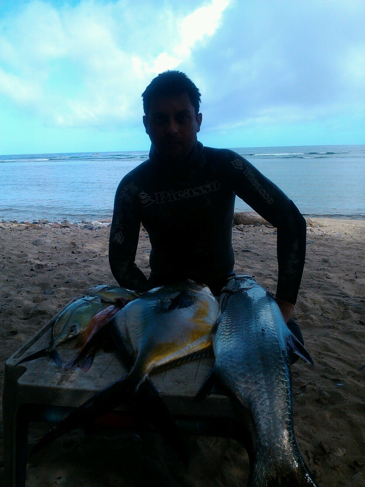 Ing. Geologo con 11 años de experiencia en el MENPET y la industria petrolera. 
Patron de embarcaciones de recreo, Buzo aficionado a la pesca submarina.