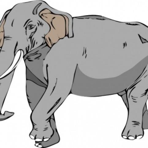 An awareness Twitter page on Elephants in Thailand. Take action and follow #ChangeForChang for interesting facts and on how you can help take action!