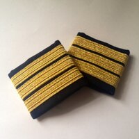 Airbus Pilot (@pilot_airbus) 's Twitter Profile