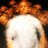 SlotoverB's profile image