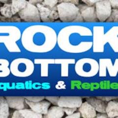 rockaquatics14's profile picture. We have everything you could need for your Pond Supplies and Aquarium Supplies with massive discounts off the MRP!