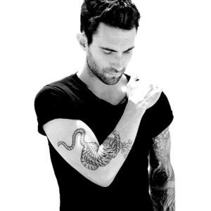 MR.LEVINE