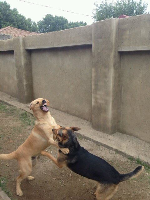 j_stompie's profile picture. 