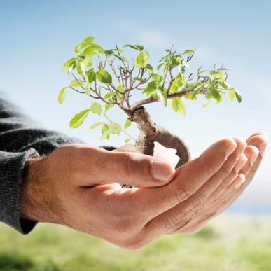 db_patrimoine's profile picture. #Courtier en #Assurances #Habitation #Santé #Auto #Moto #Entreprise #Expert-conseil en Gestion de #Patrimoine #Placements #Financiers