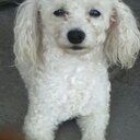 mery inés chávez  - @11Tobito - Twitter