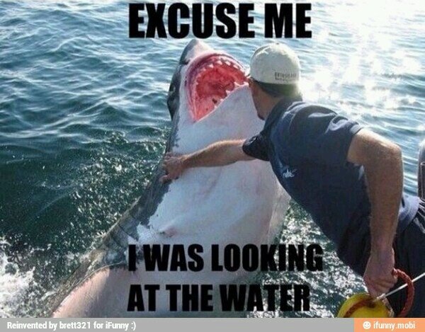 EdwardsAUBREE's profile picture. I LOVE LOVE LOVE LOVE the walking dead and I'm single