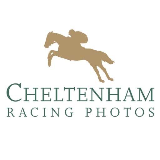 CheltenhamRP's profile picture. Cheltenham Racing Photos - Official Imaging Partner to the 2013/14 Season & The 2014 Cheltenham Festival at Cheltenham Racecourse