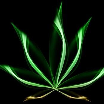 Hemp lifestyle company with a focus on nutritional wellness whose products contain #CBD rich #HEMP OIL..