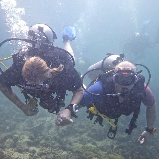 wife, mother, dog owner, nfl and college football freak, scuba diver, resister! #notmypresident #moscowmitchhatesamerica #putinsbitch #impeachhimnow. no DMs