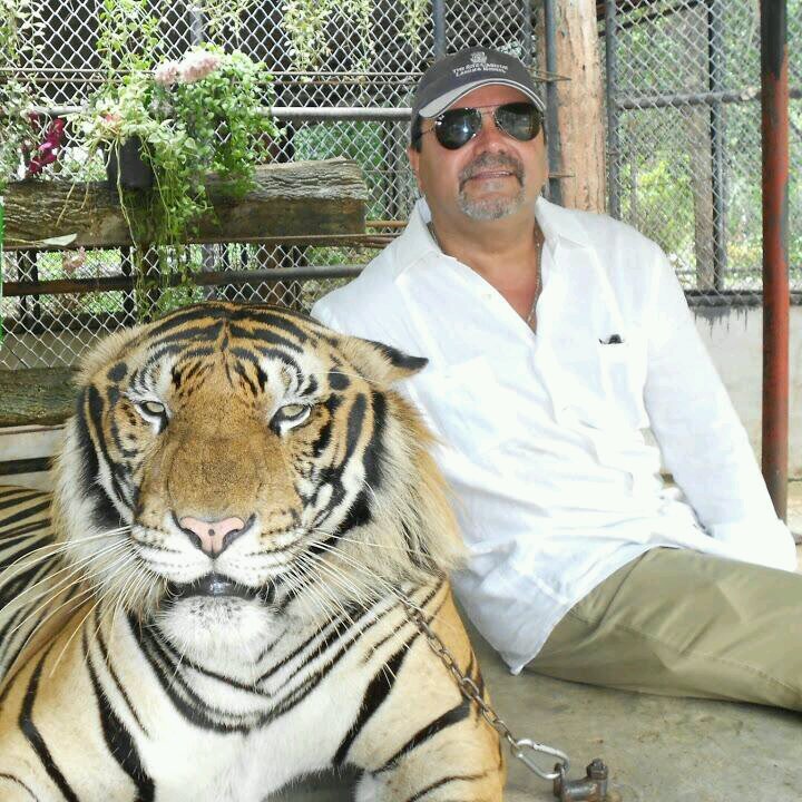 mrnapoli1's profile picture. 