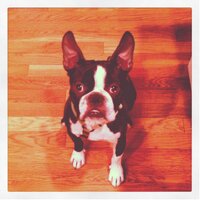 Bruce Stevens (@bstevensnc) 's Twitter Profile Photo Bruce Stevens (@bstevensnc) 's Twitter Profile Photo