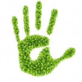 GREENBrickell's profile picture. Appreciator of all GREEN cities and the BLUE waters of a clean ocean.  In the business of helping companies get GREEN by monthly incentives and planting trees!