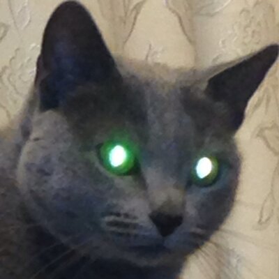 きょっこ