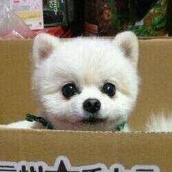 必ず相互フォロー小指の約束です
